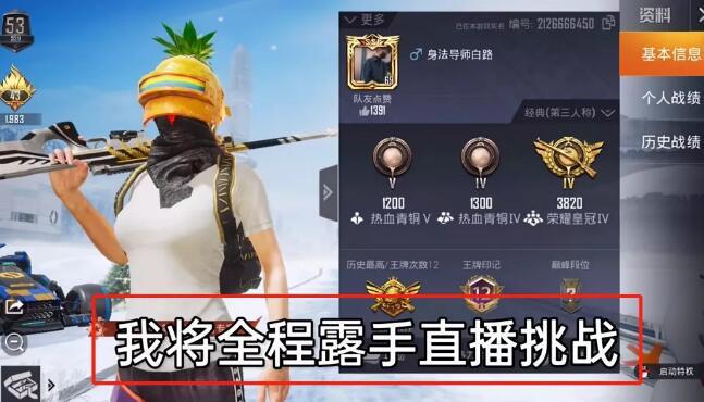 和平精英《魔法》辅助